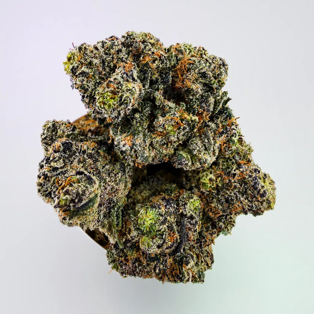 Tropical Blast -7G