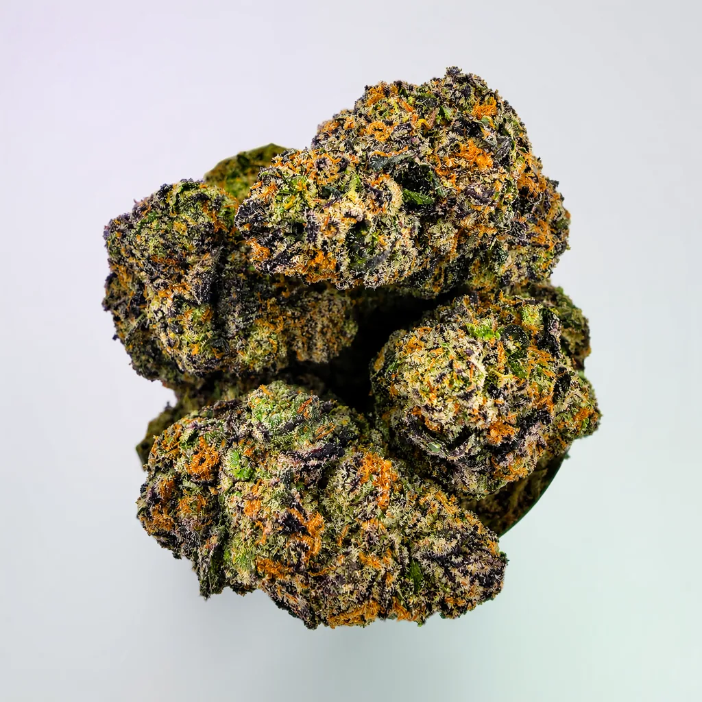 Purple Urkle -7G