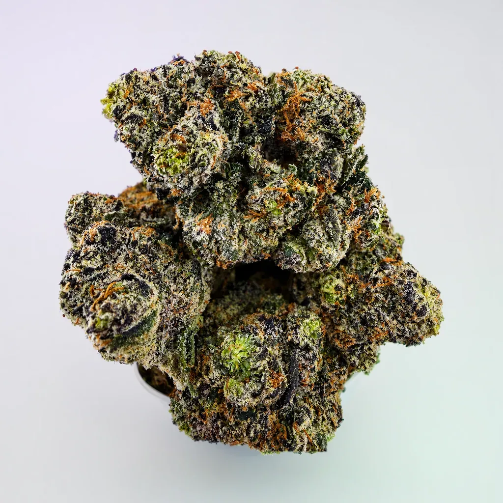 Tropical Blast - 14G - Image 1