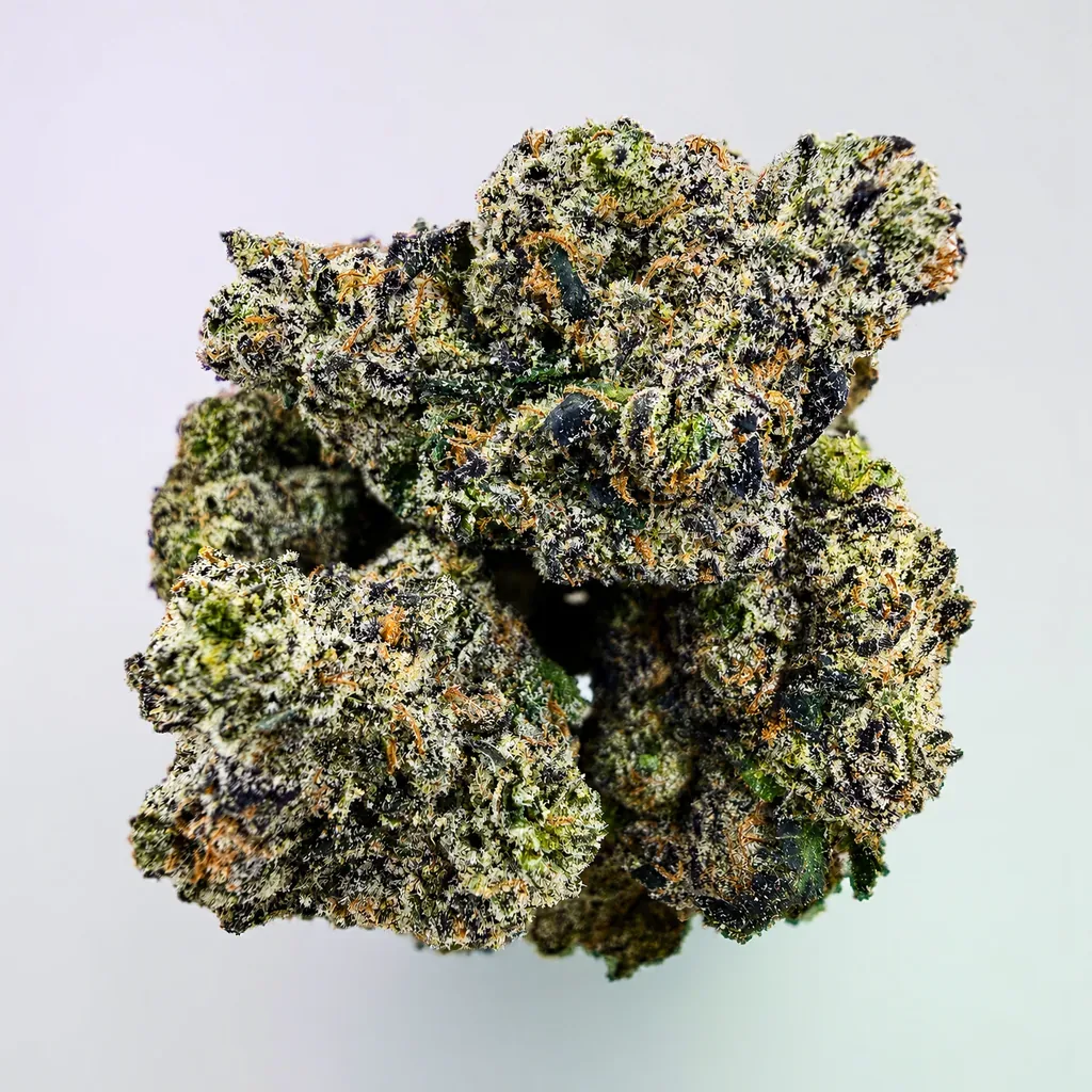 Sundae Church -14G - Image 1