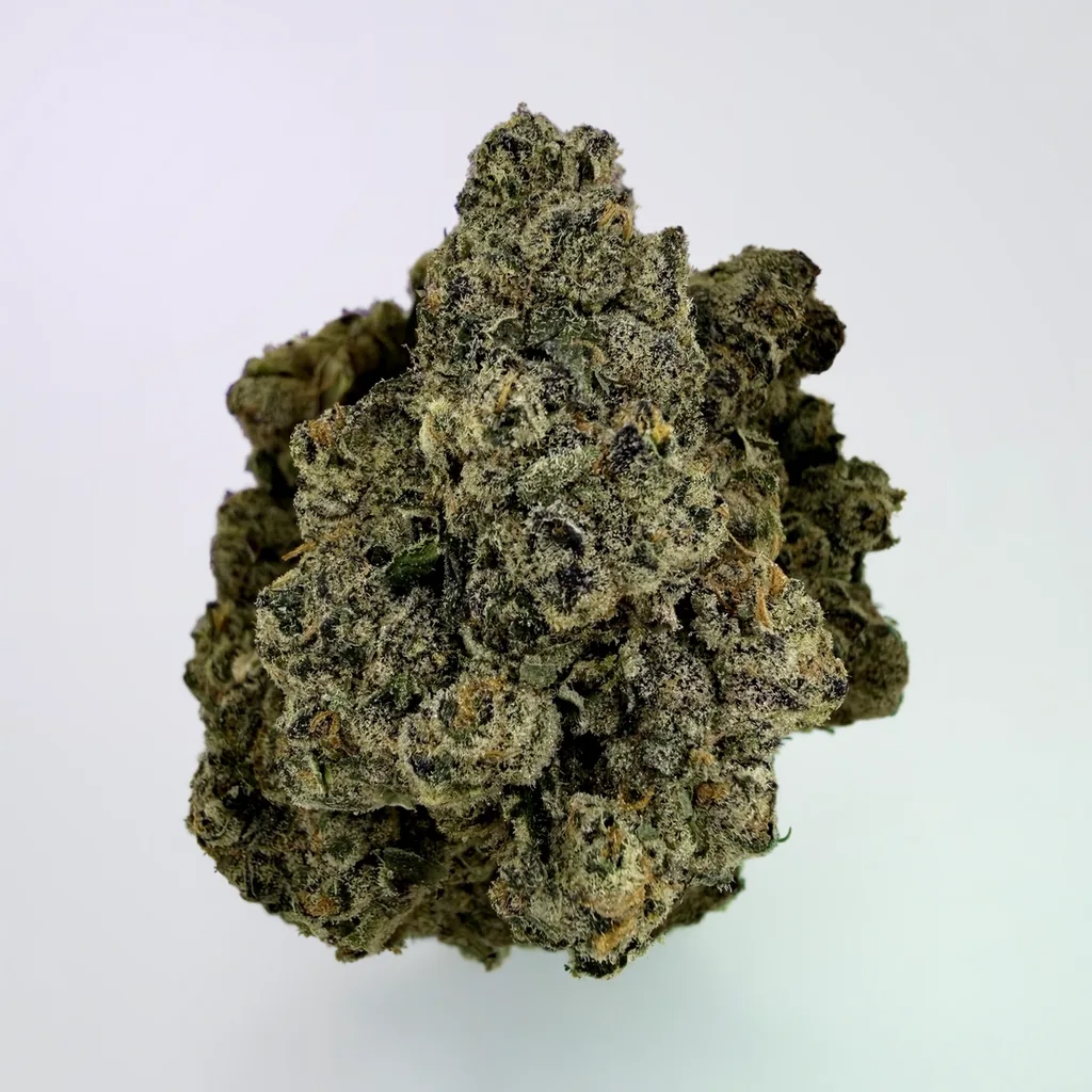 Irene SS | 7g - Image 1