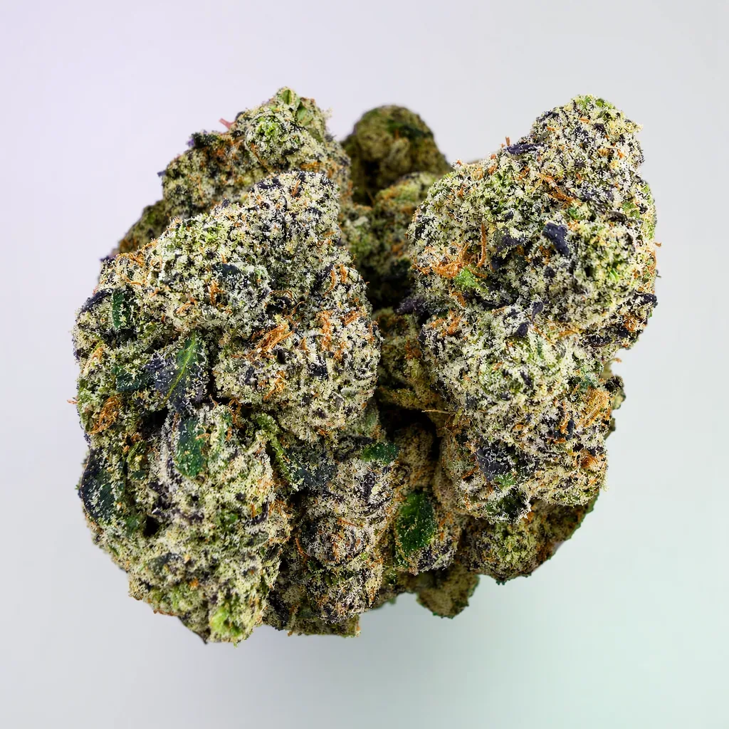 Ben & Berries -7G