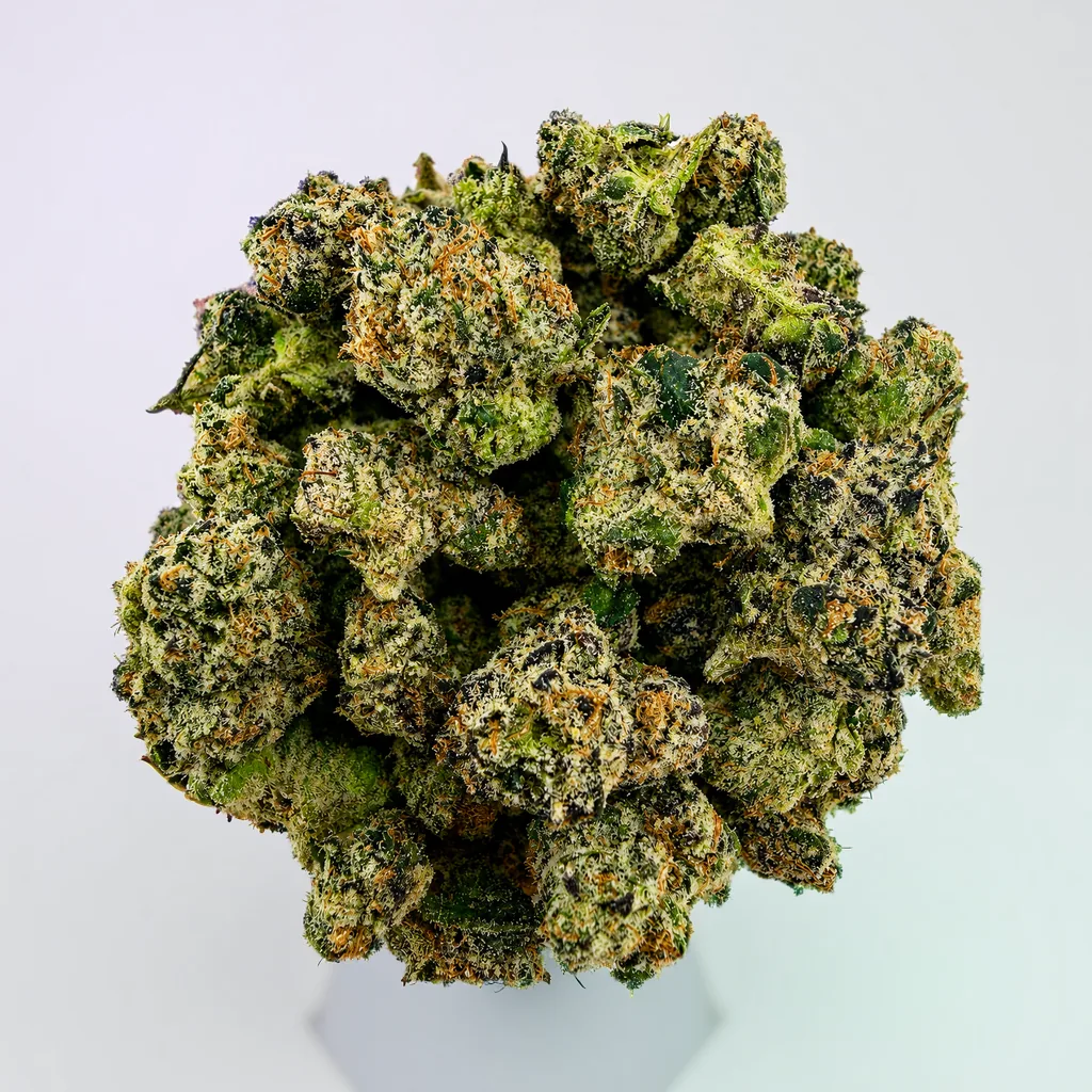 Curelato Small/ Medium -14G - Image 1