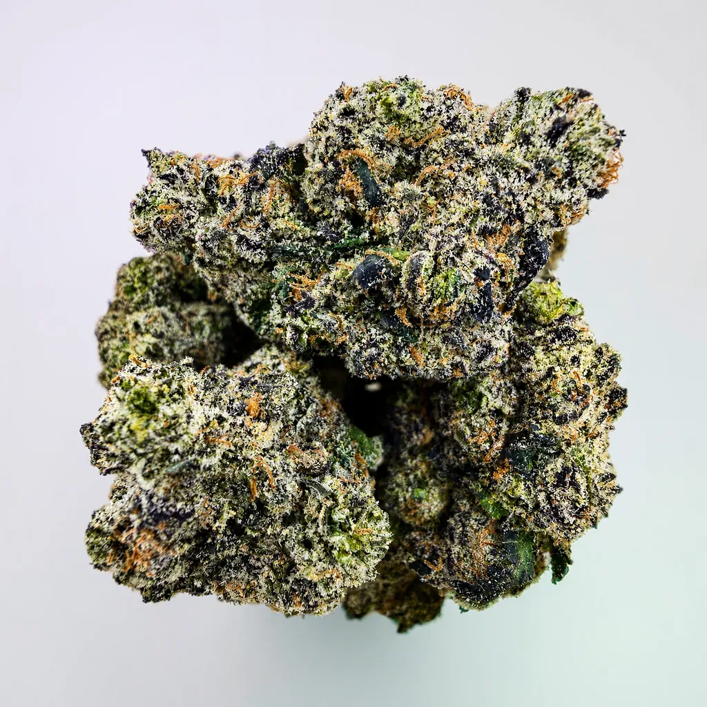 Sundae Church -7G
