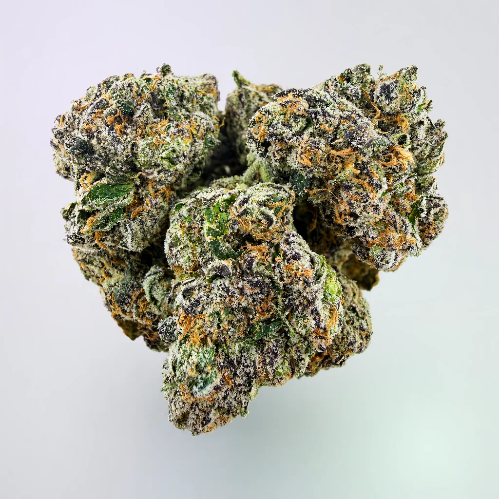 Razzberry Biscotti -14G - Image 1