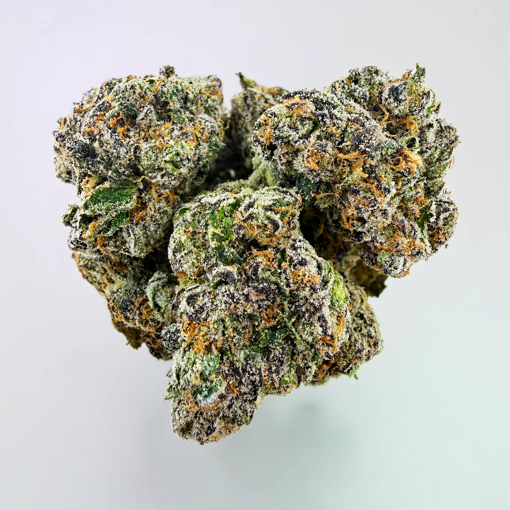 Razzberry Biscotti -7G - Image 1