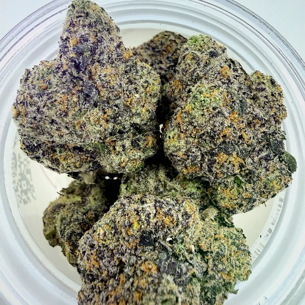 Gelato 41 | 7g - Image 1