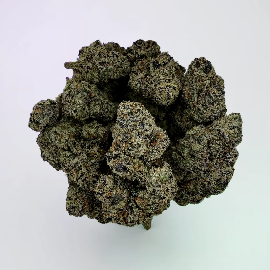 Ursula (DOJA) | 7g - Image 1