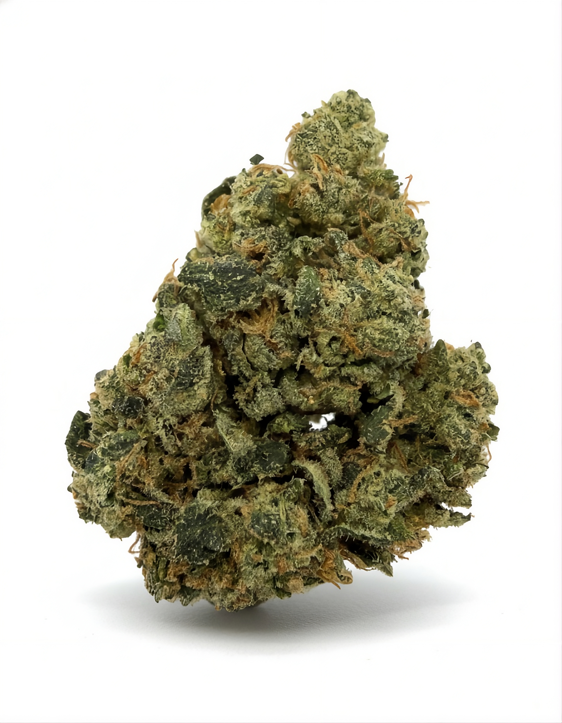 Zours - 14G - Image 1