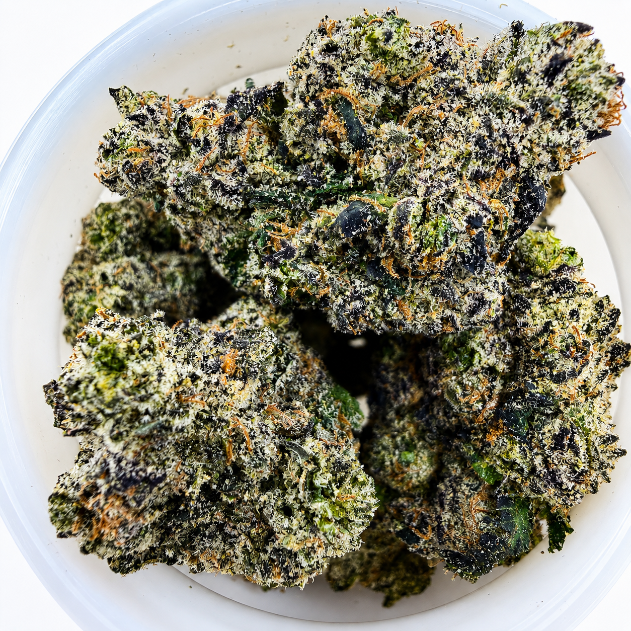 Sundae Church -14G - Image 1