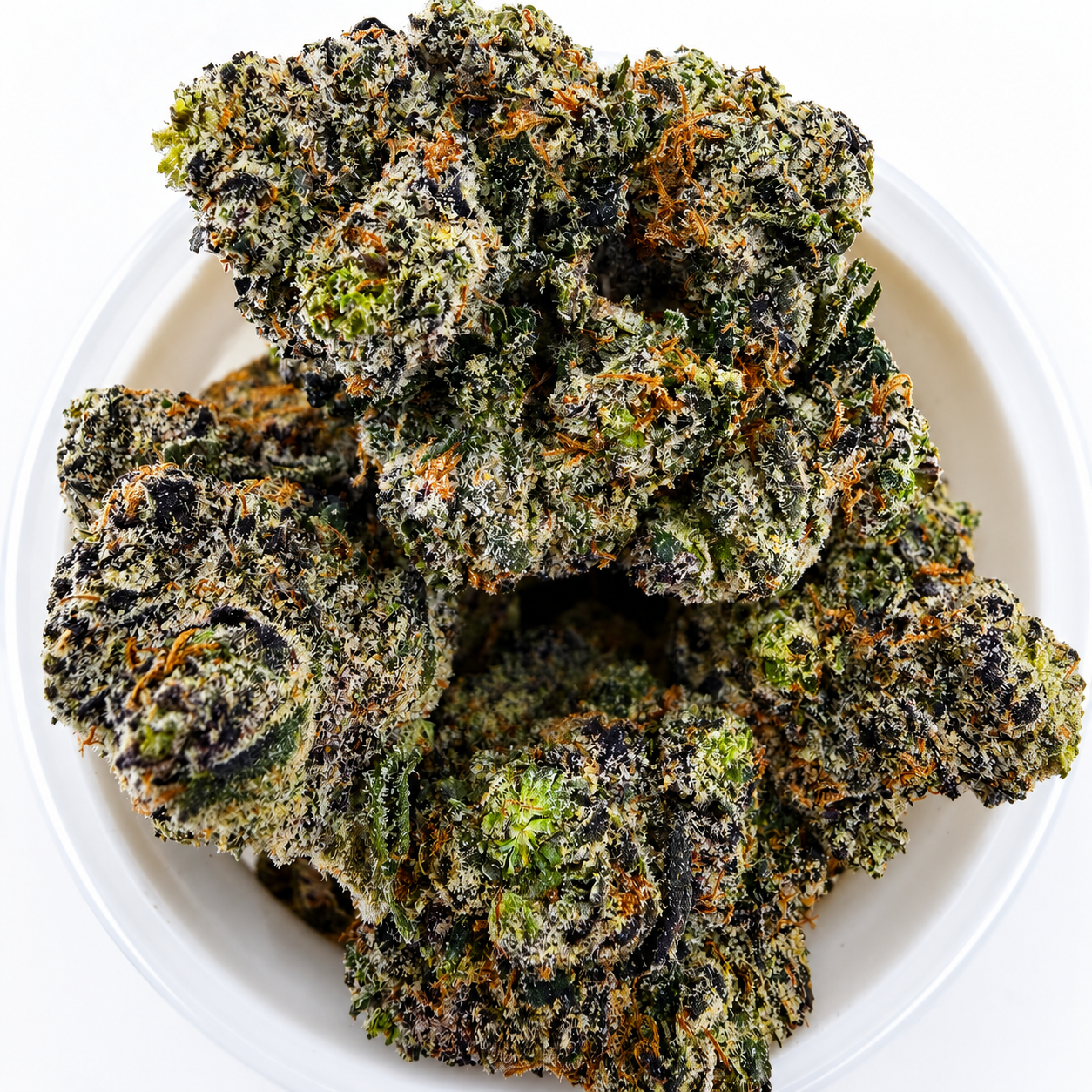 Tropical Blast - 14G - Image 1