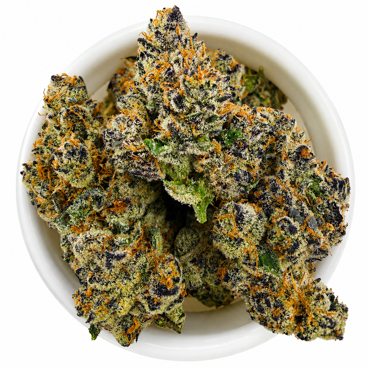98K x French Lotus -7G