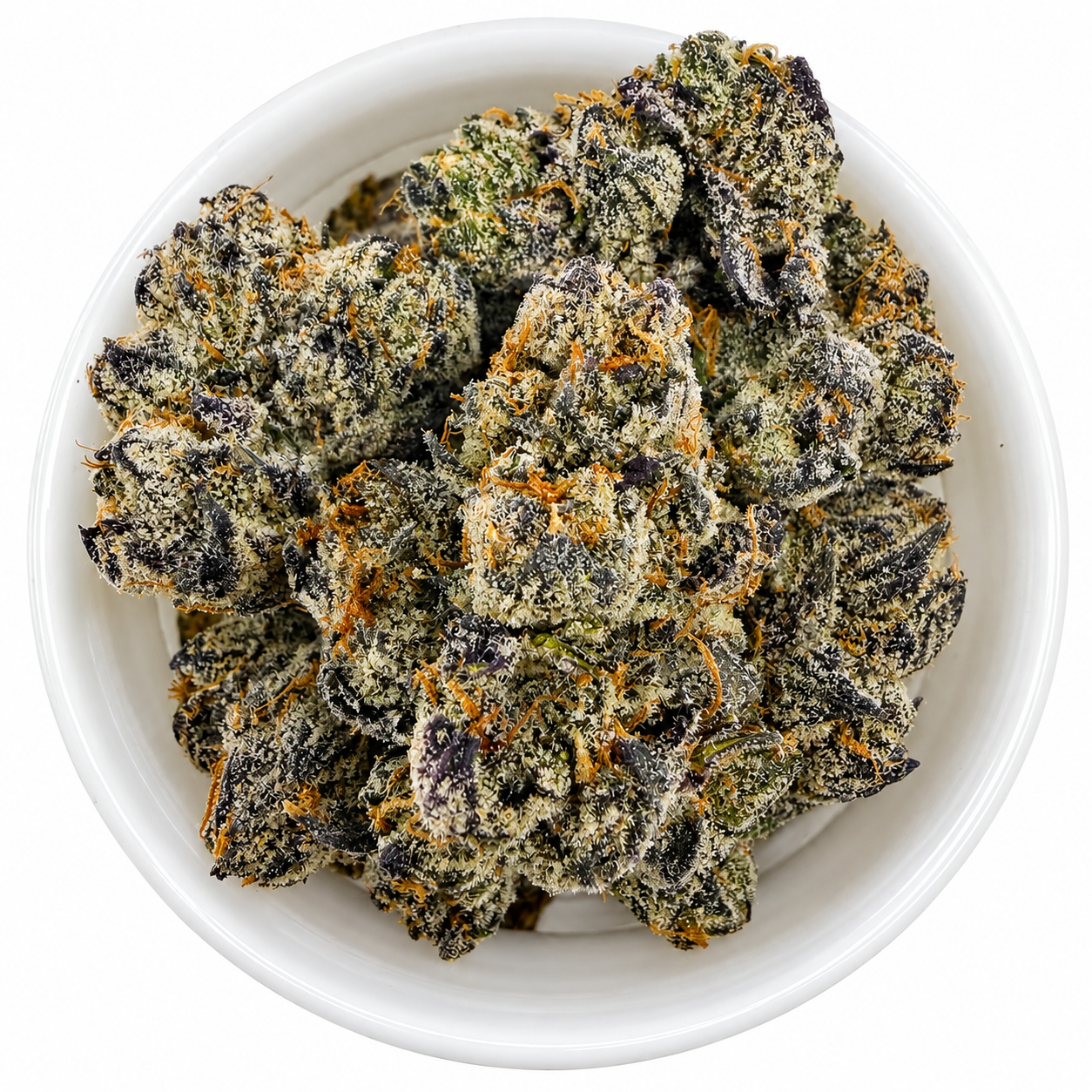 Cherry Cherry Lady -7G